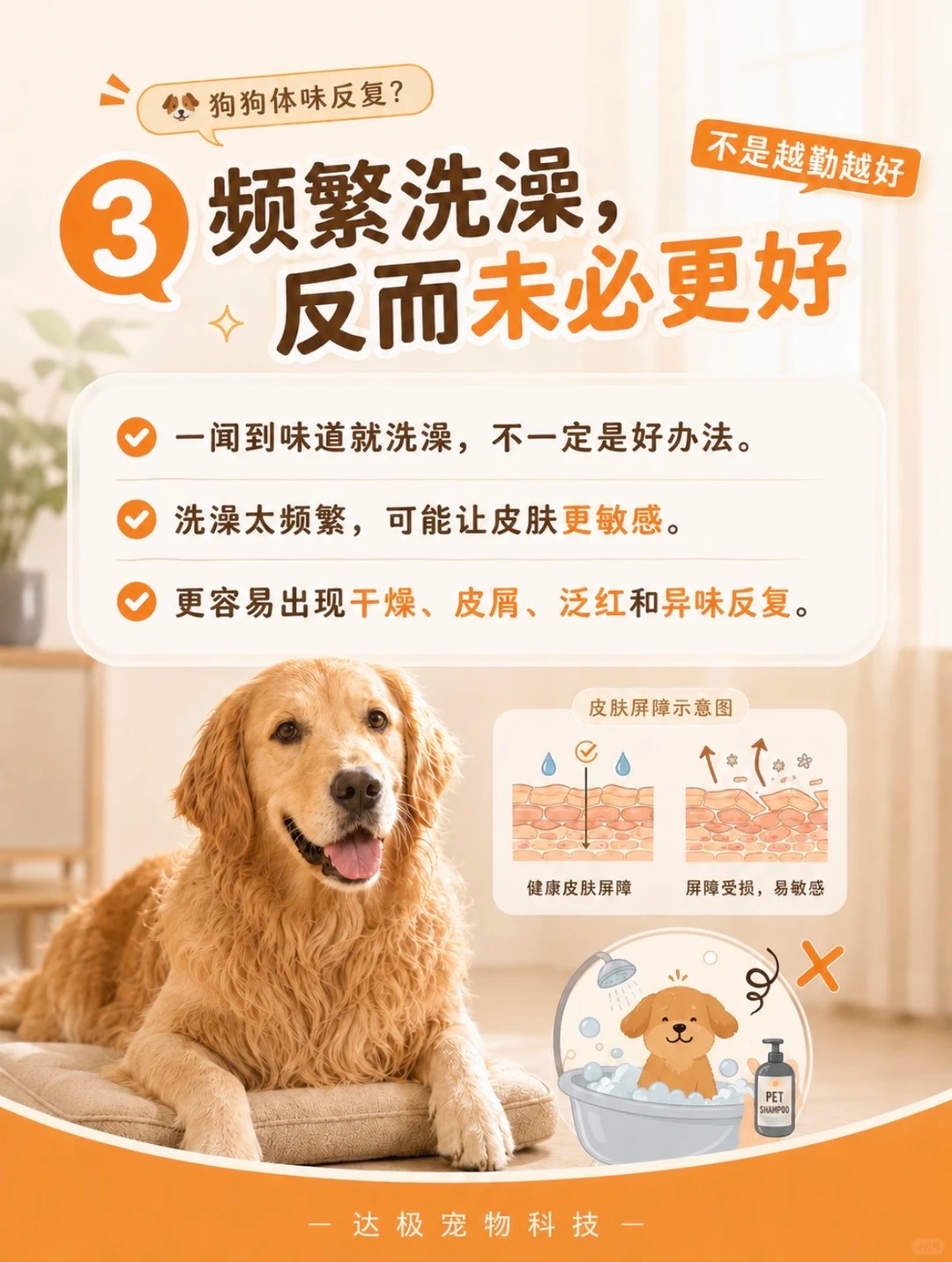 宠物温护仪可以在洗澡间隔期辅助日常护理