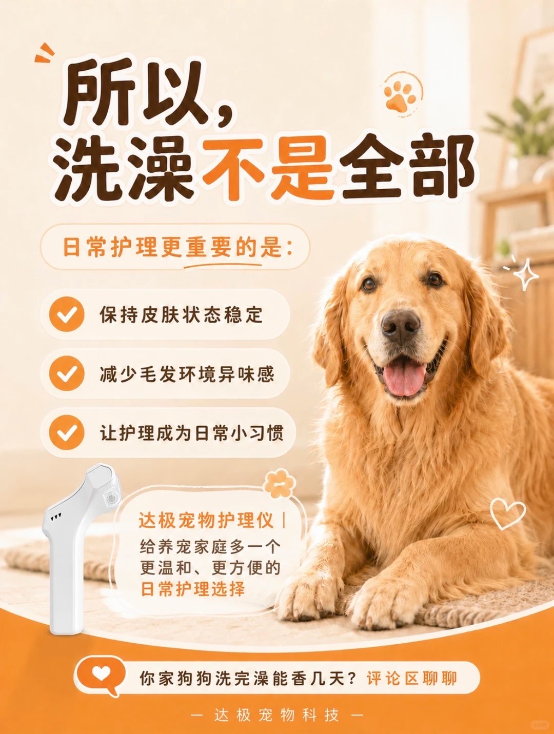 从日常细节入手，改善宠物体味问题