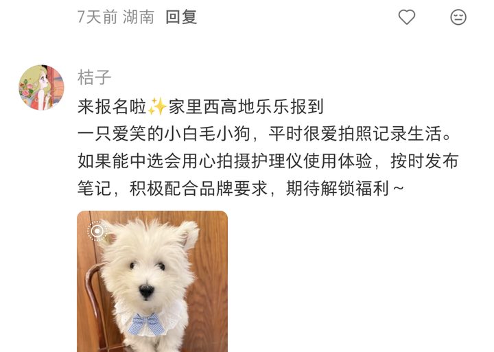 精选留言实拍：桔子——爱笑的西高地乐乐来报名