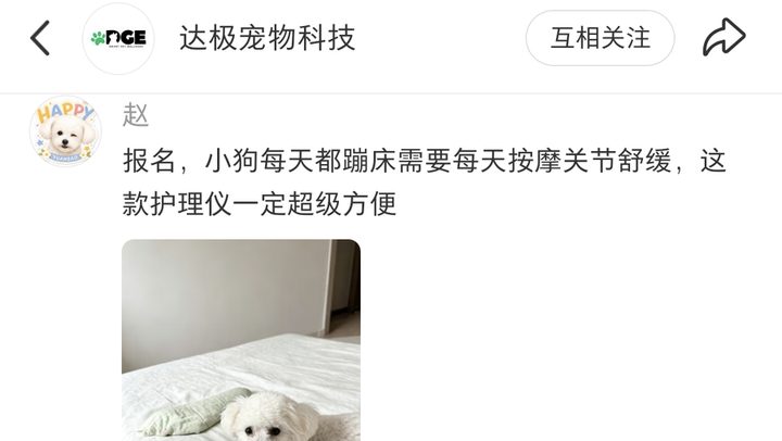 精选留言实拍：赵——小狗每天蹦床，需要按摩关节舒缓