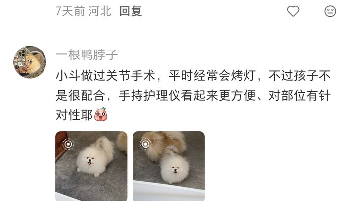 精选留言实拍：一根鸭脖子——小斗做过关节手术，盼手持款更方便