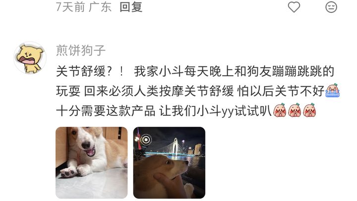 精选留言实拍：煎饼狗子——每晚蹦跳玩耍回来必须按摩关节