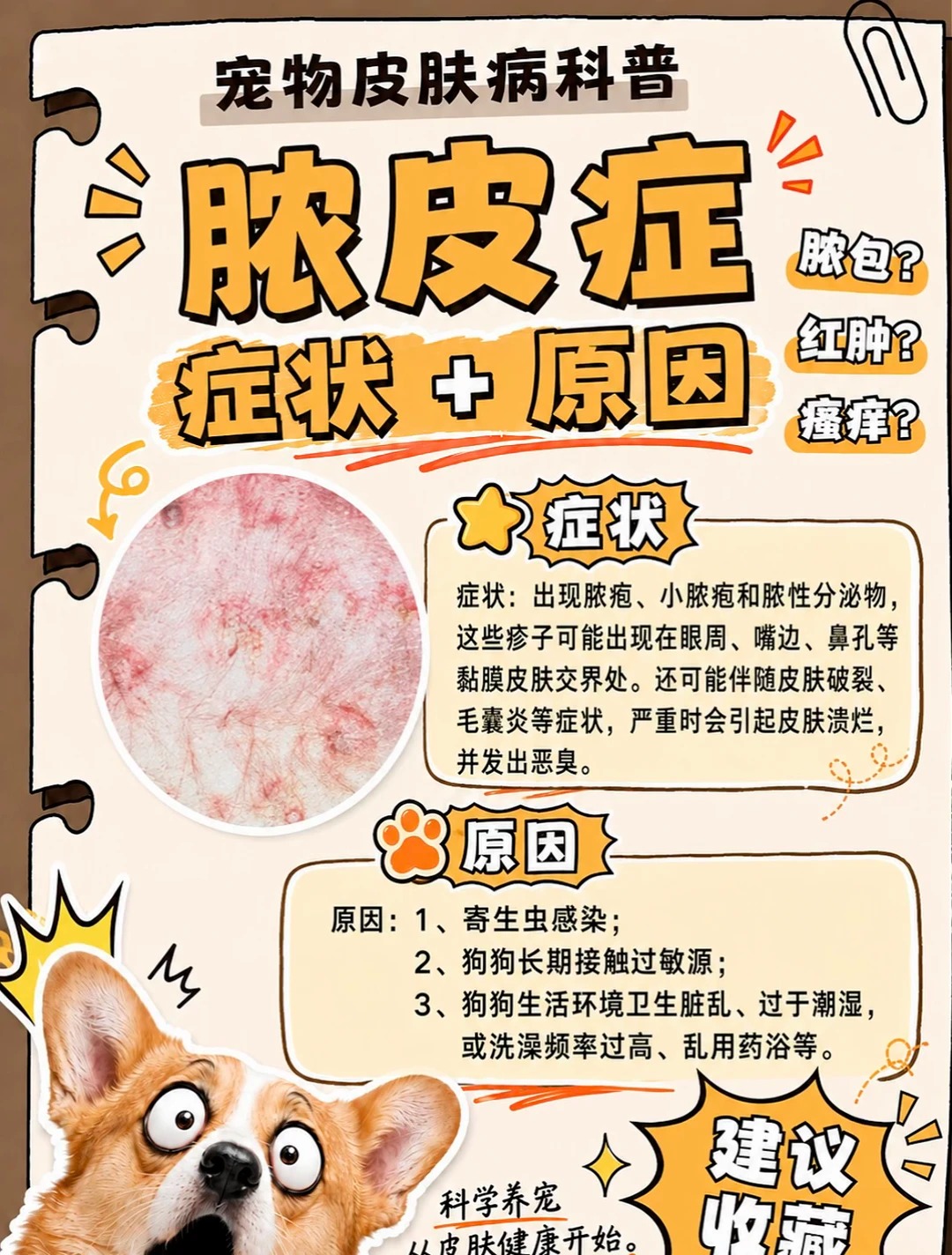 脓皮症症状图