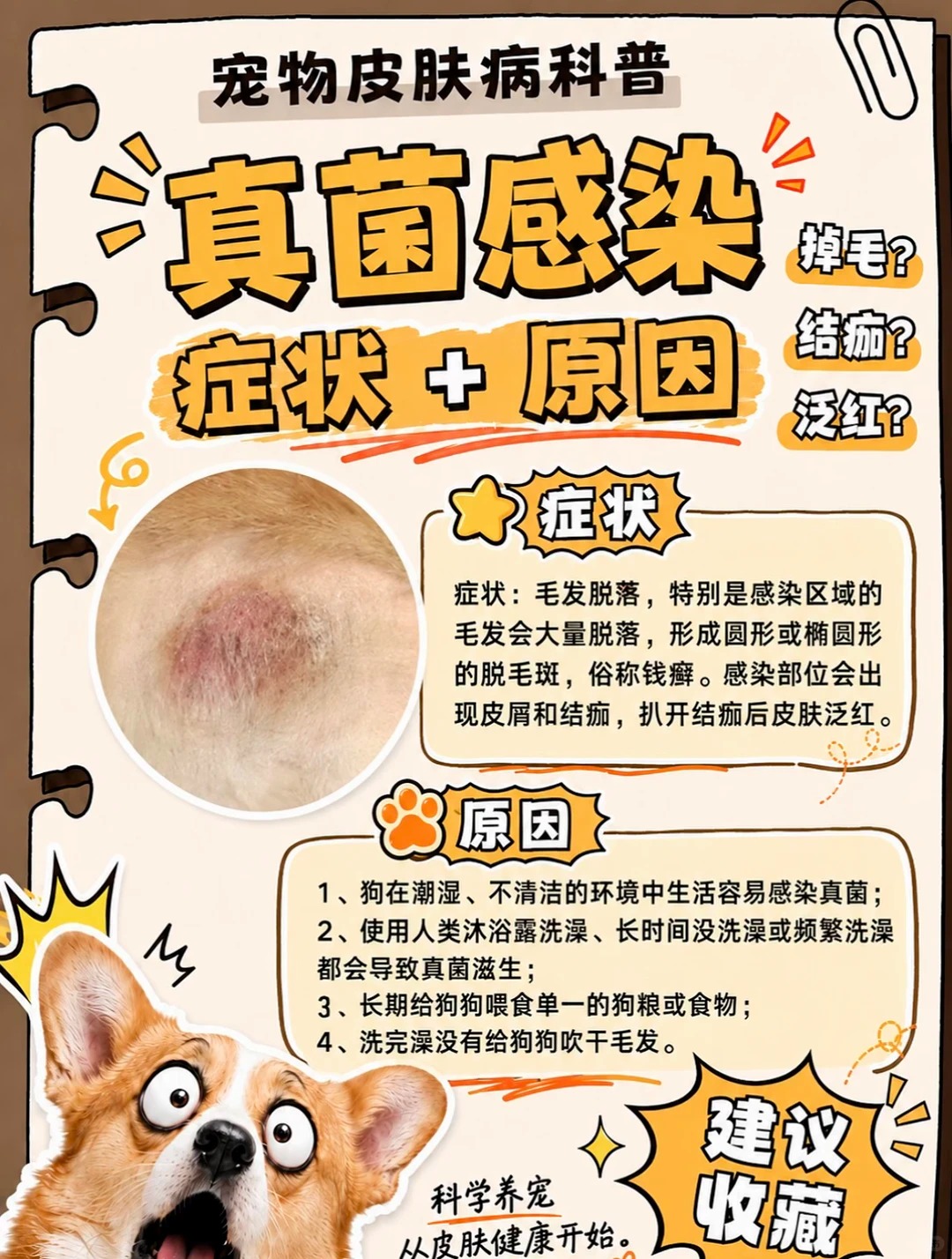 真菌感染症状图