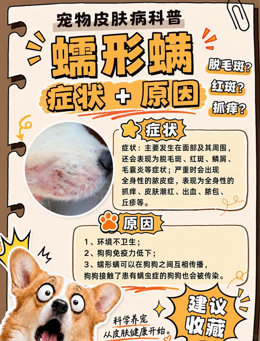 蠕形螨症状图