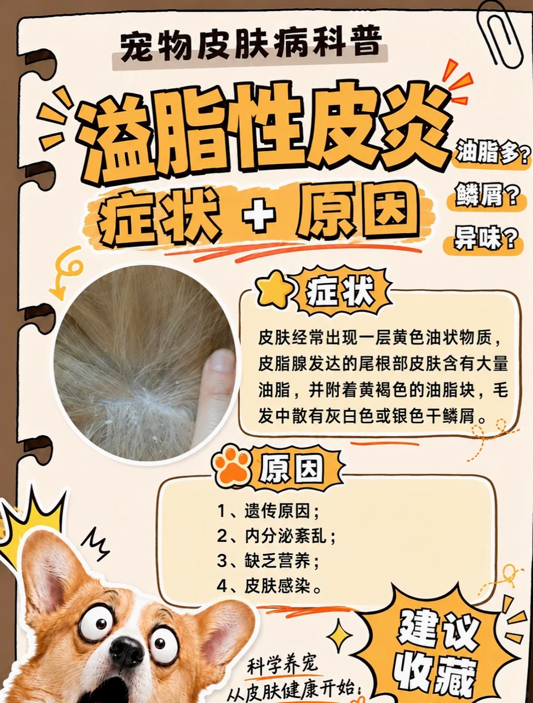 溢脂性皮炎症状图