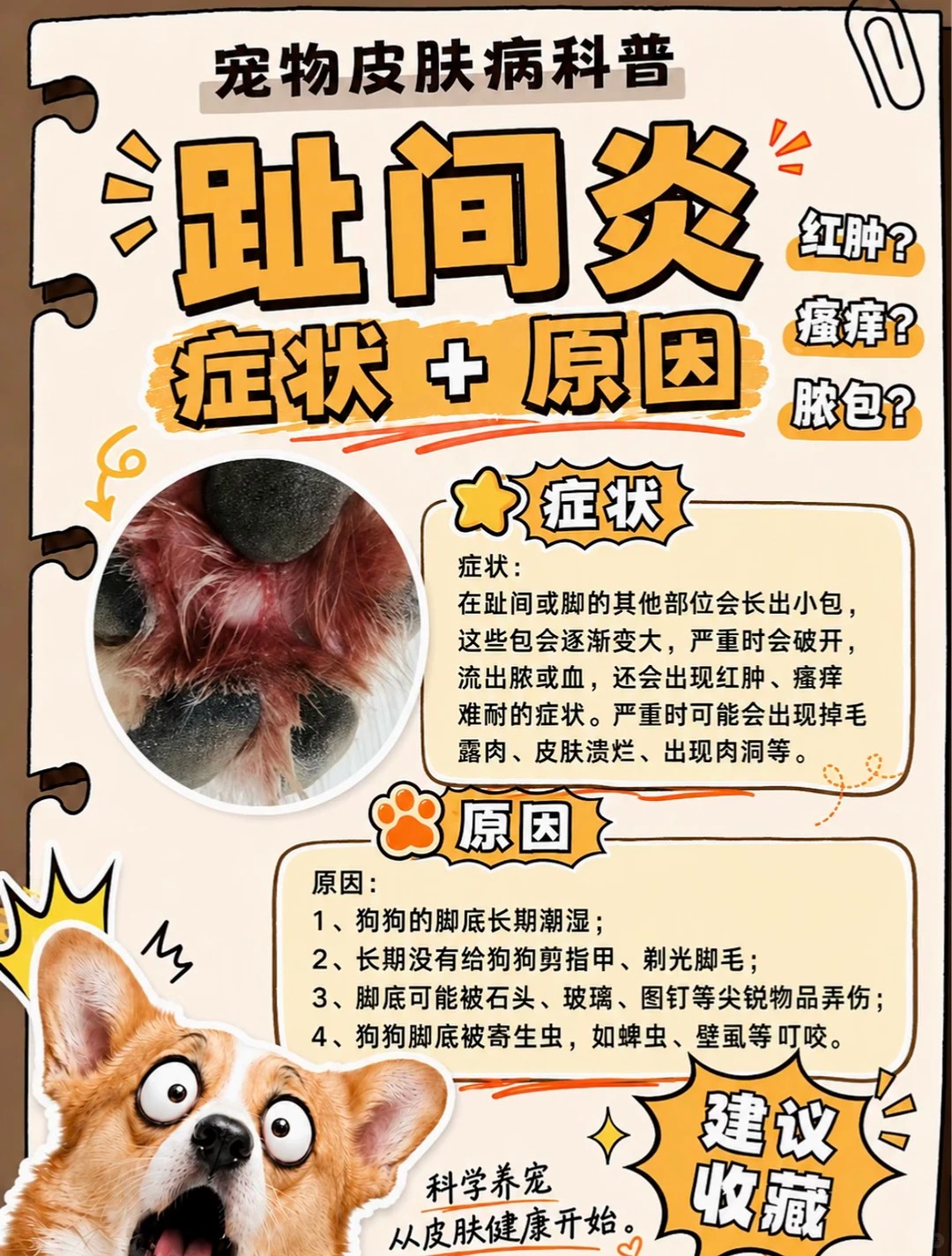 趾间炎症状图